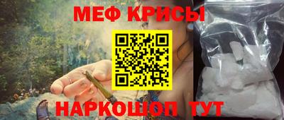 молекула духа Кингисепп