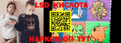 молекула духа Кингисепп