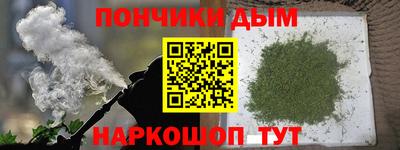 молекула духа Кингисепп