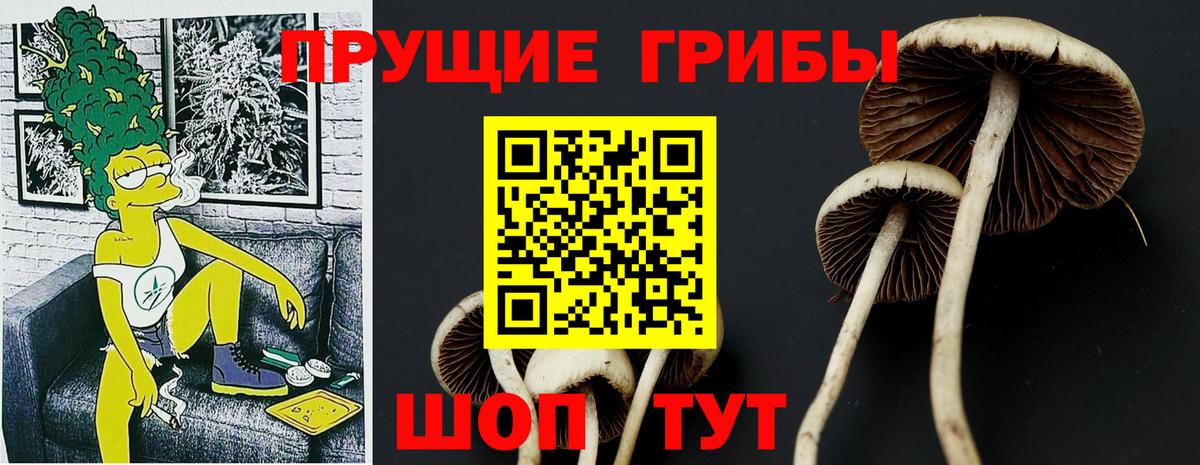 Галлюциногенные грибы Psilocybe Комсомольск-на-Амуре