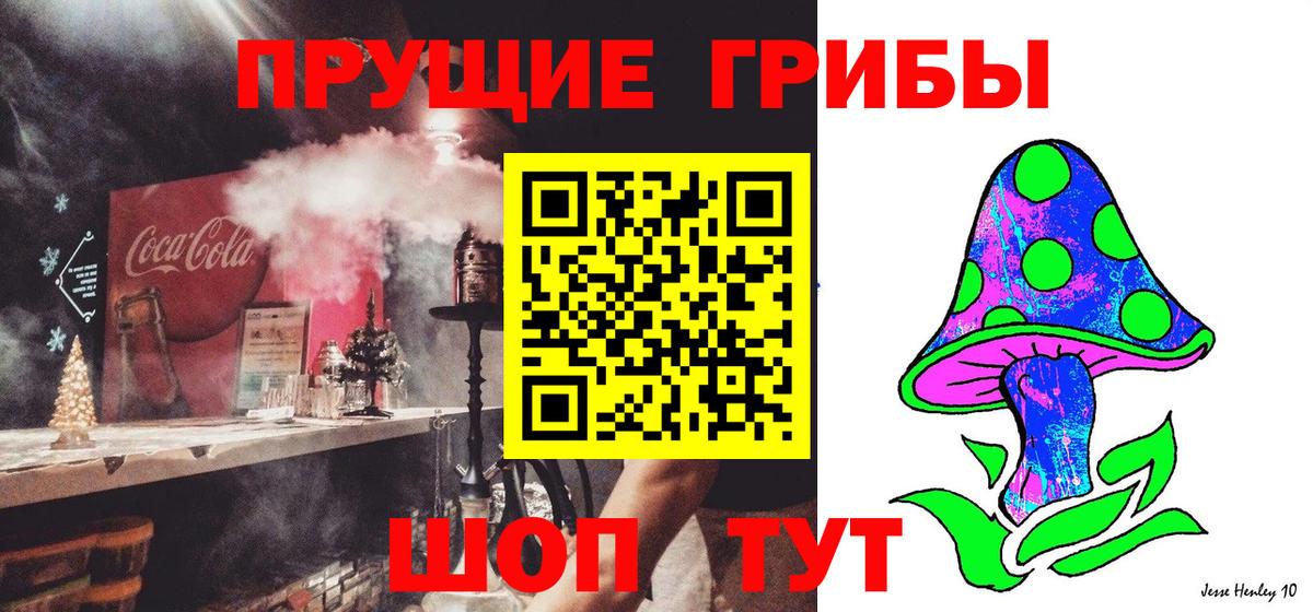 Комсомольск-на-Амуре  Псилоцибиновые грибы GOLDEN TEACHER  Псилоцибиновые грибы Psilocybine cubensis  Вход с VPN 